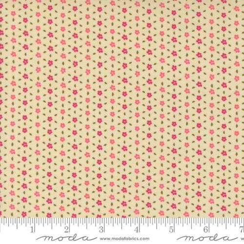 Sagewood -  Seedling, Pearl - 11956-11