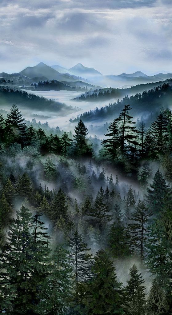 Panel 435 - Misty Mountain