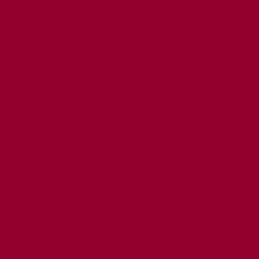 Confetti Cotton Solid - Brick - C120-BRICK