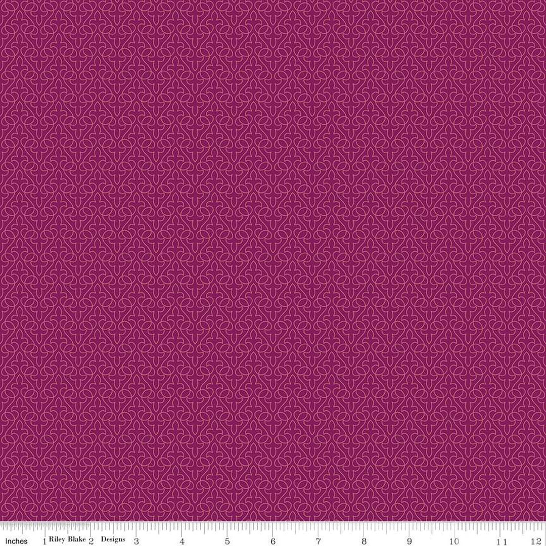 Little Witch - Lace, Magenta - C14565-MAGENTA
