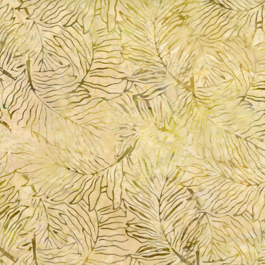Forest Floor - Fern, Moon - Tonga-B5041