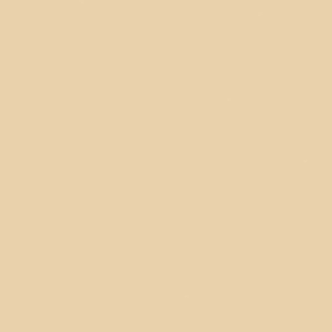 Confetti Cotton Solid - Eggnog - C120-EGGNOG