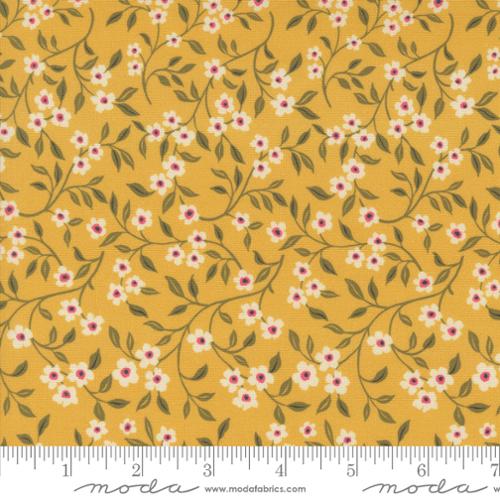 Sagewood -  Dogwood, Sunshine - 11953-13