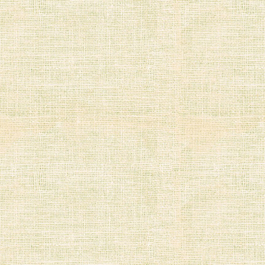 Burlap Texture - Ecru - TEXTURE-CD3149