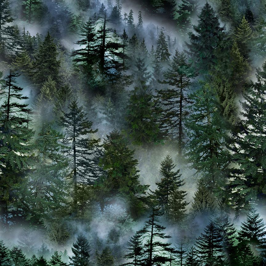 Misty Mountain - Evergreen Forest, FOREST - NATURE-CD3528
