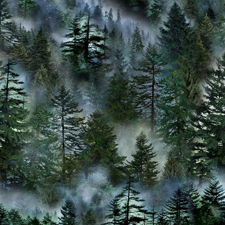 Misty Mountain - Evergreen Forest, FOREST - NATURE-CD3528