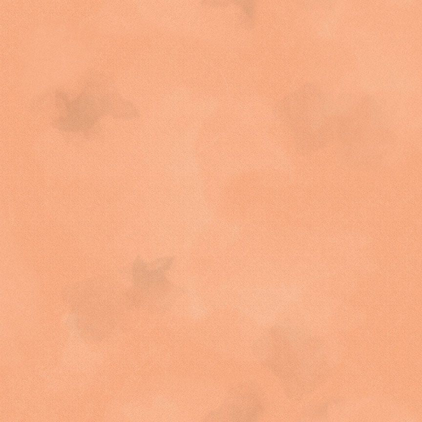 Colorstock - Brushstroke, Apricot - JN-C2970 APRICOT
