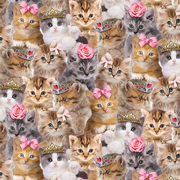 Teacup Kitty - Packed Princess Kitty, Natural - CAT-CD3579