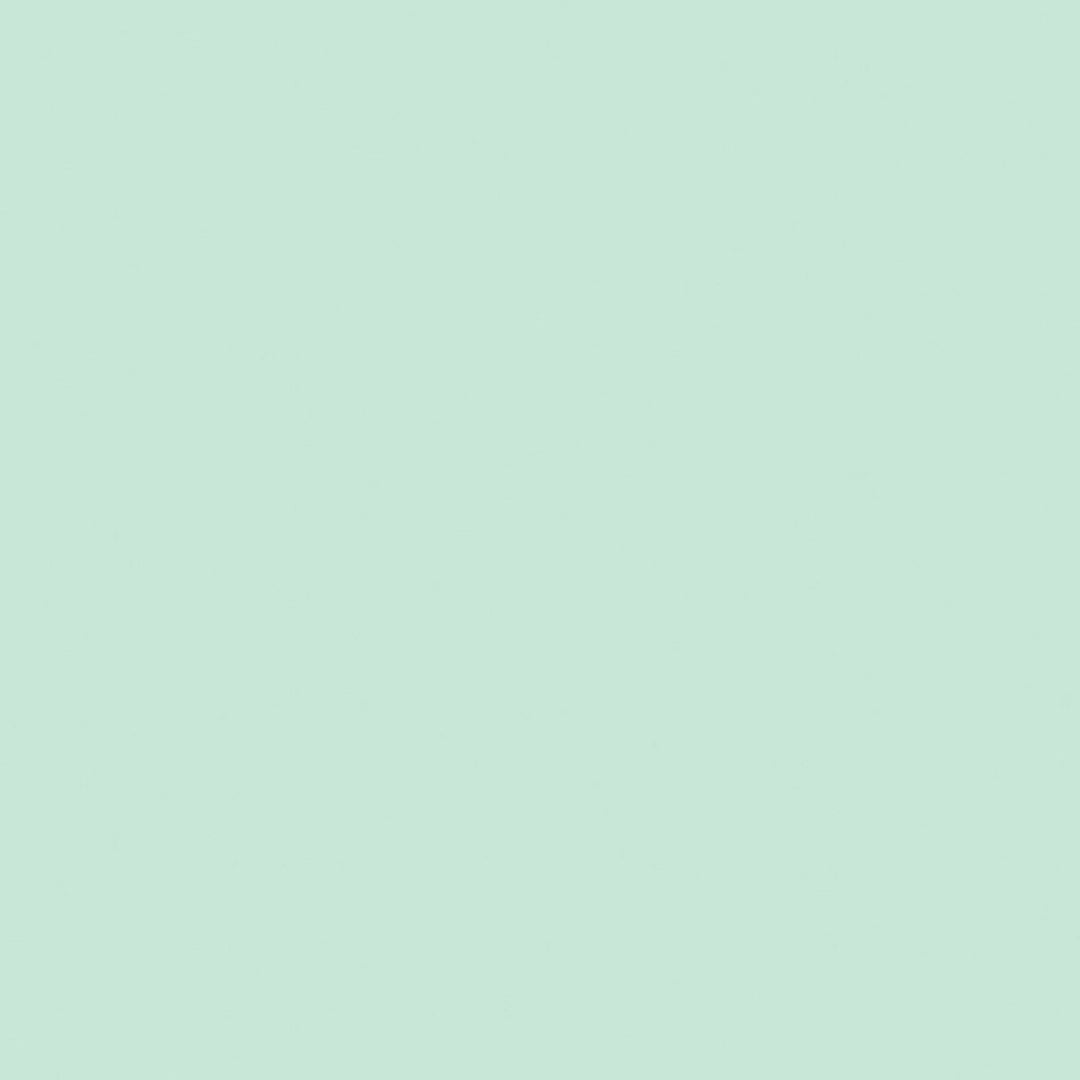 Confetti Cotton Solid - Misty - C120-MISTY