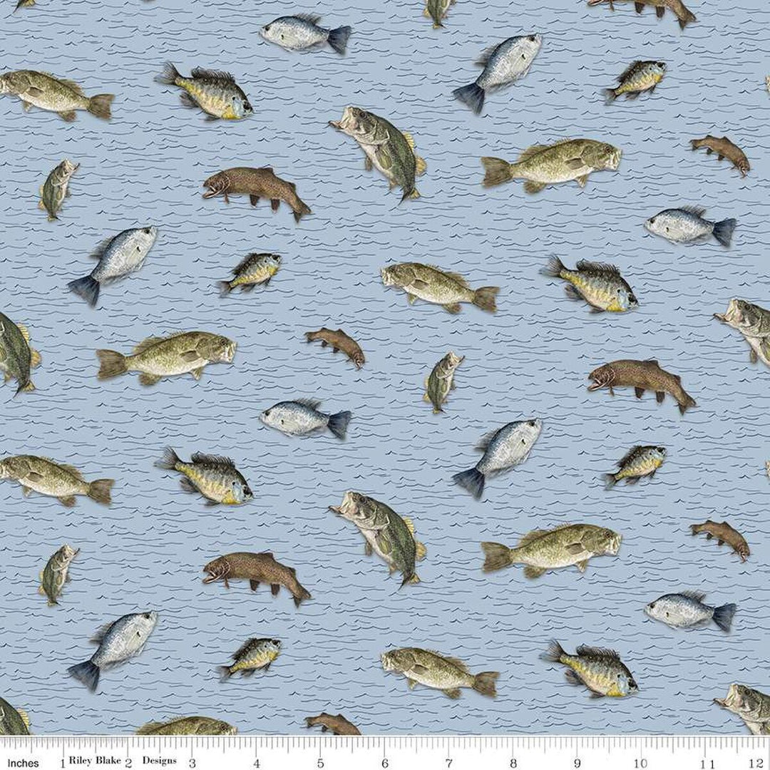 Wake at the Lake - Fish Toss, Sky - C14891-SKY
