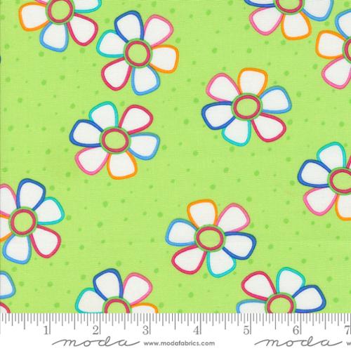 Fiesta - Pinata, Limeade - 22471-20