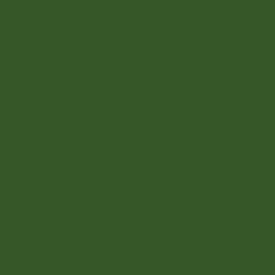 Confetti Cotton Solid - Hunter - C120-HUNTER