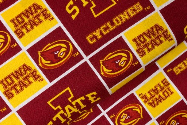 College-NCAA - Geometric Block, Iowa State University - IAS-006