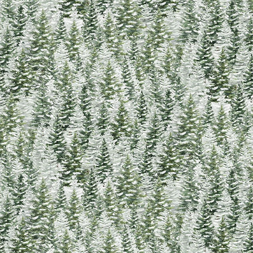 Winter Wonderland - Snowy Pine Trees, Forest - KATIE-CD3694