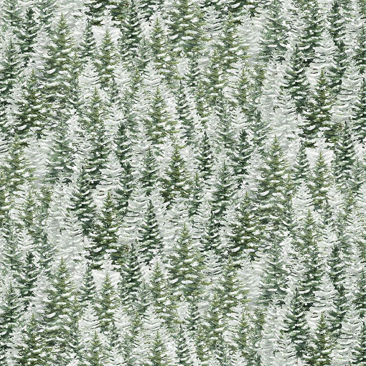 Winter Wonderland - Snowy Pine Trees, Forest - KATIE-CD3694
