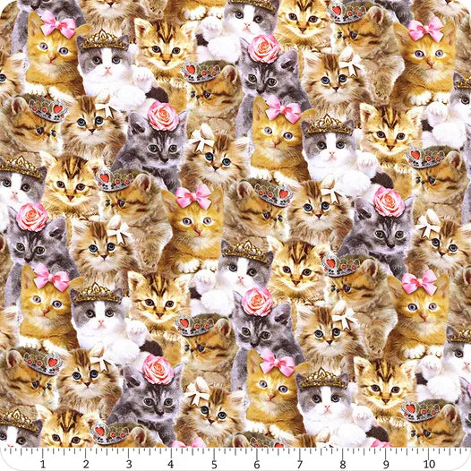 Teacup Kitty - Packed Princess Kitty, Natural - CAT-CD3579