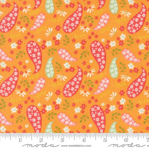 Raspberry Summer - Paisley, Apricot - 37691-14
