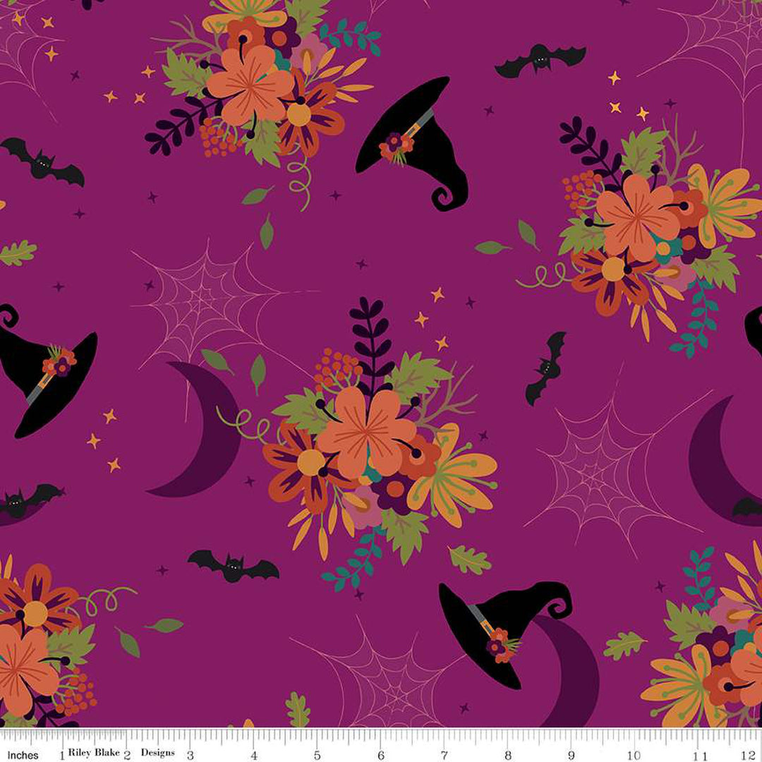 Little Witch - Main, Magenta - C14560-MAGENTA
