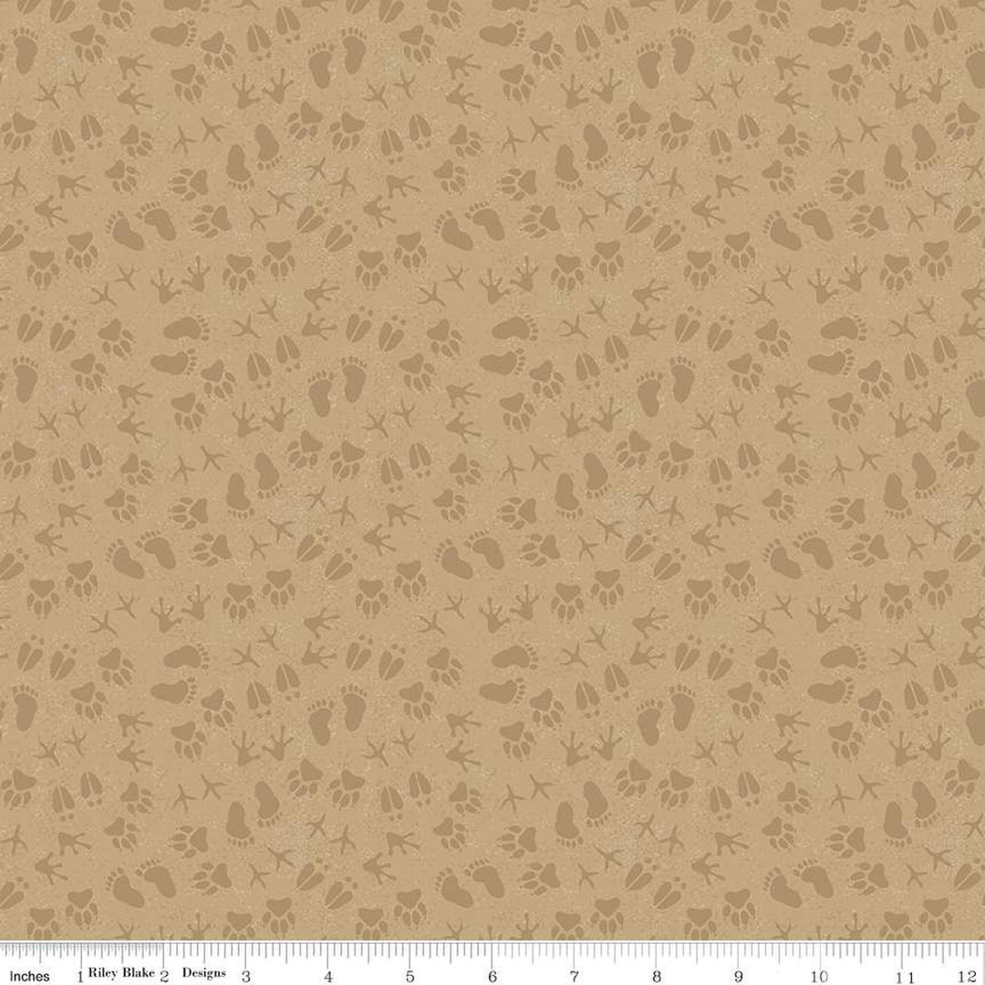 Legends of the National Parks - Prints, Sand - C13285-SAND