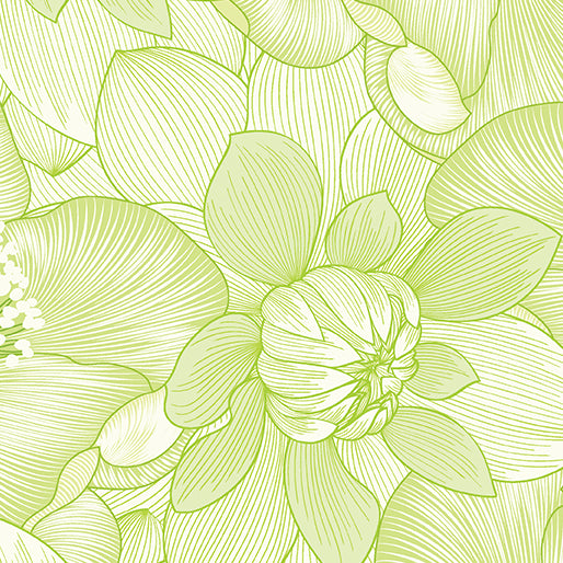 Begins with Mum - Poppies, Lime - 13691-42