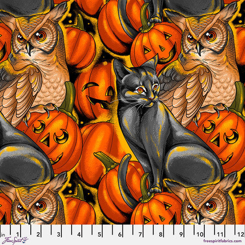 Costumes and Cobwebs - Pumpkin Party, Orange - PWRH121.ORANGE