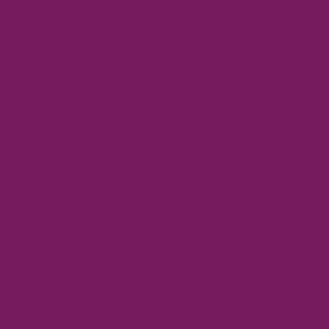 Confetti Cotton Solid - Boysenberry - C120-BOYSENBERRY