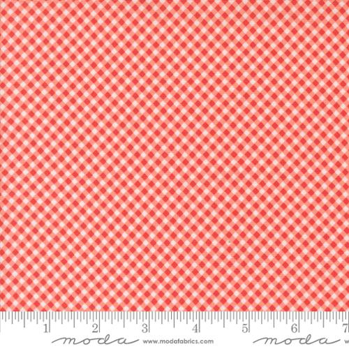 Raspberry Summer - Gingham, Carnation- 37697-12