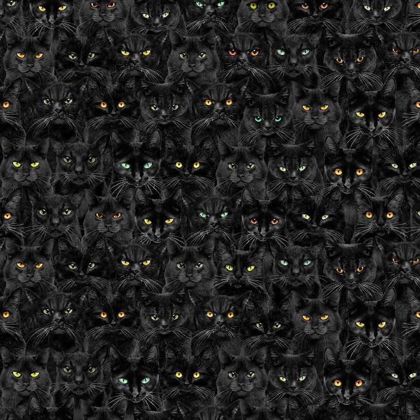 Pick Your Poison - Wicked Black Cats Magic, Black - CAT-CD1831