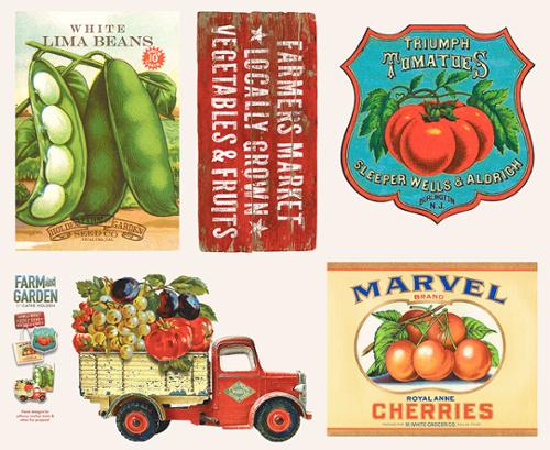 Panel 409 - Farm and Garden Canvas Pillow Panel