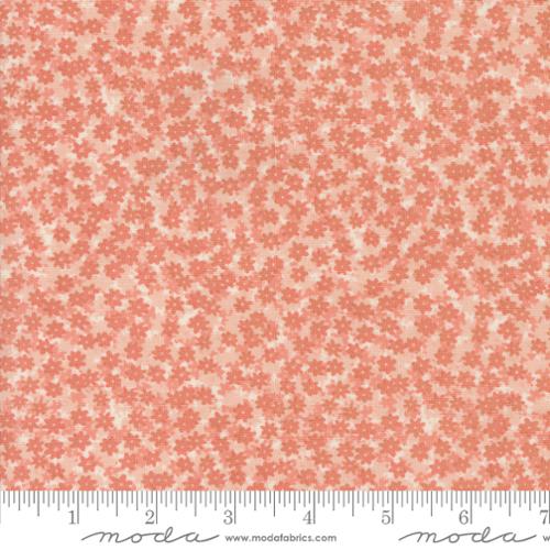 Bee Garden -  Floral Phase, Carnation - 48417-16