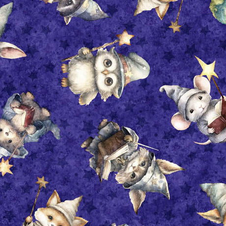 Lil' Wizards - Wizard Toss, Purple - 30551-V