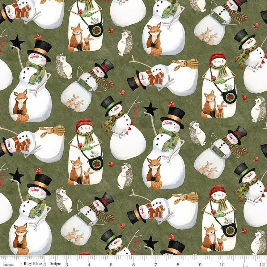 Northern Christmas - Snowman Toss, Green - C17831-GREEN