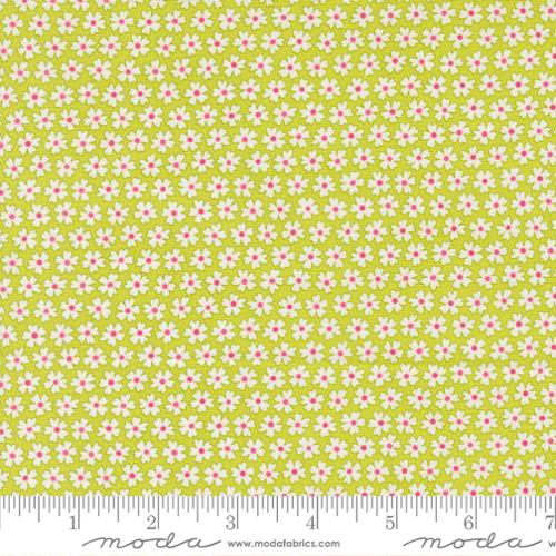 Pick Me - Pocket of Posies, Lime-  22492 15