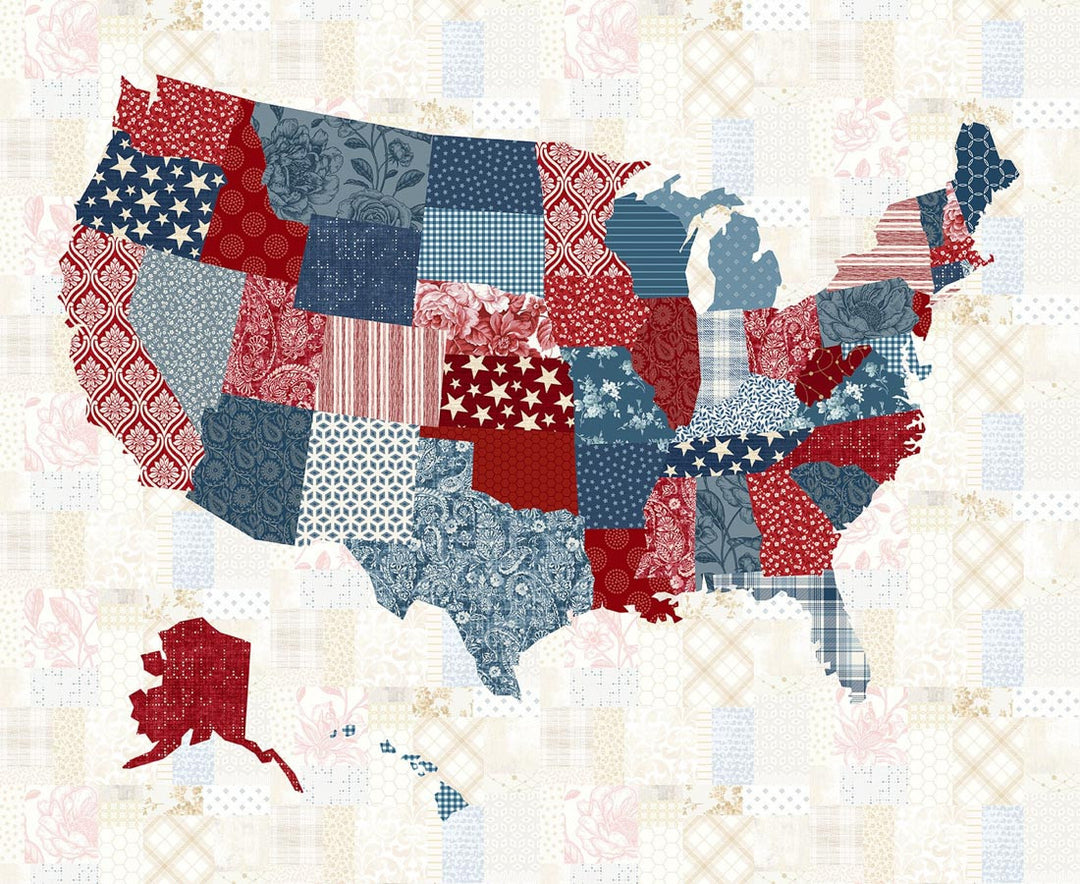 Panel 492 - USA Patchwork Map