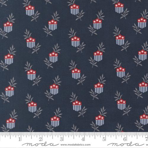 American Gathering III - Star Shield Novelty, Navy - 49320 16