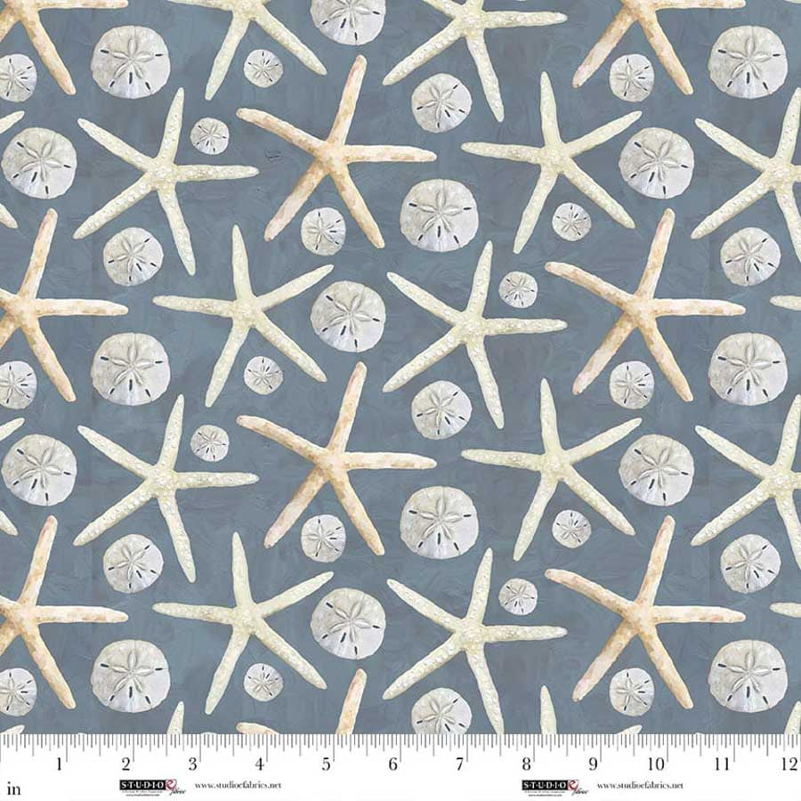 A Drop in the Ocean - Dollars and Stars, Slate - E-8813-79