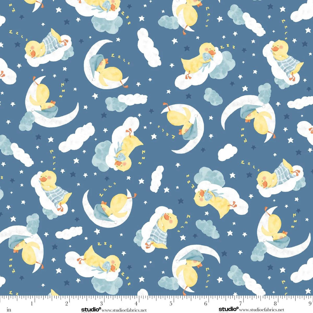 Lucky Duck - Ducks and Moons Toss, Ocean - 8976-72