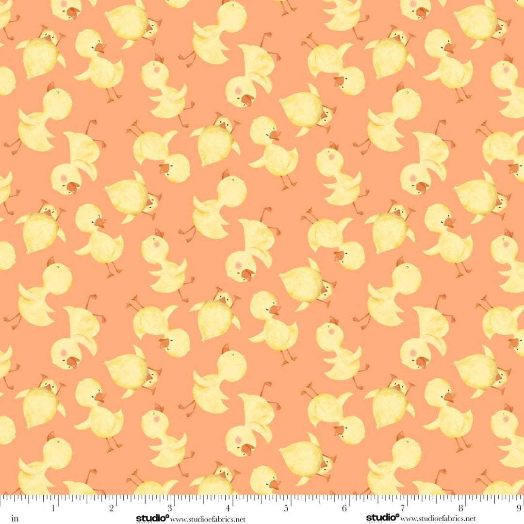 Lucky Duck - Ducks Toss, Orange - 8977-31