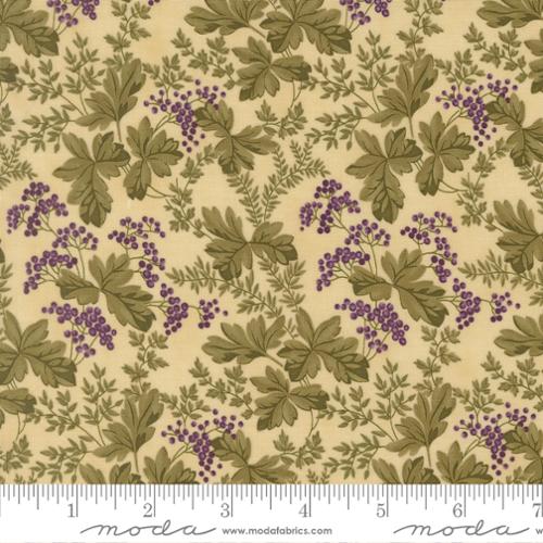 Collections Essence - English Ivy, Parchment - 46273 11