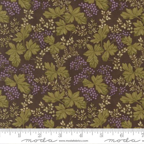 Collections Essence - English Ivy, Soil - 46273 15