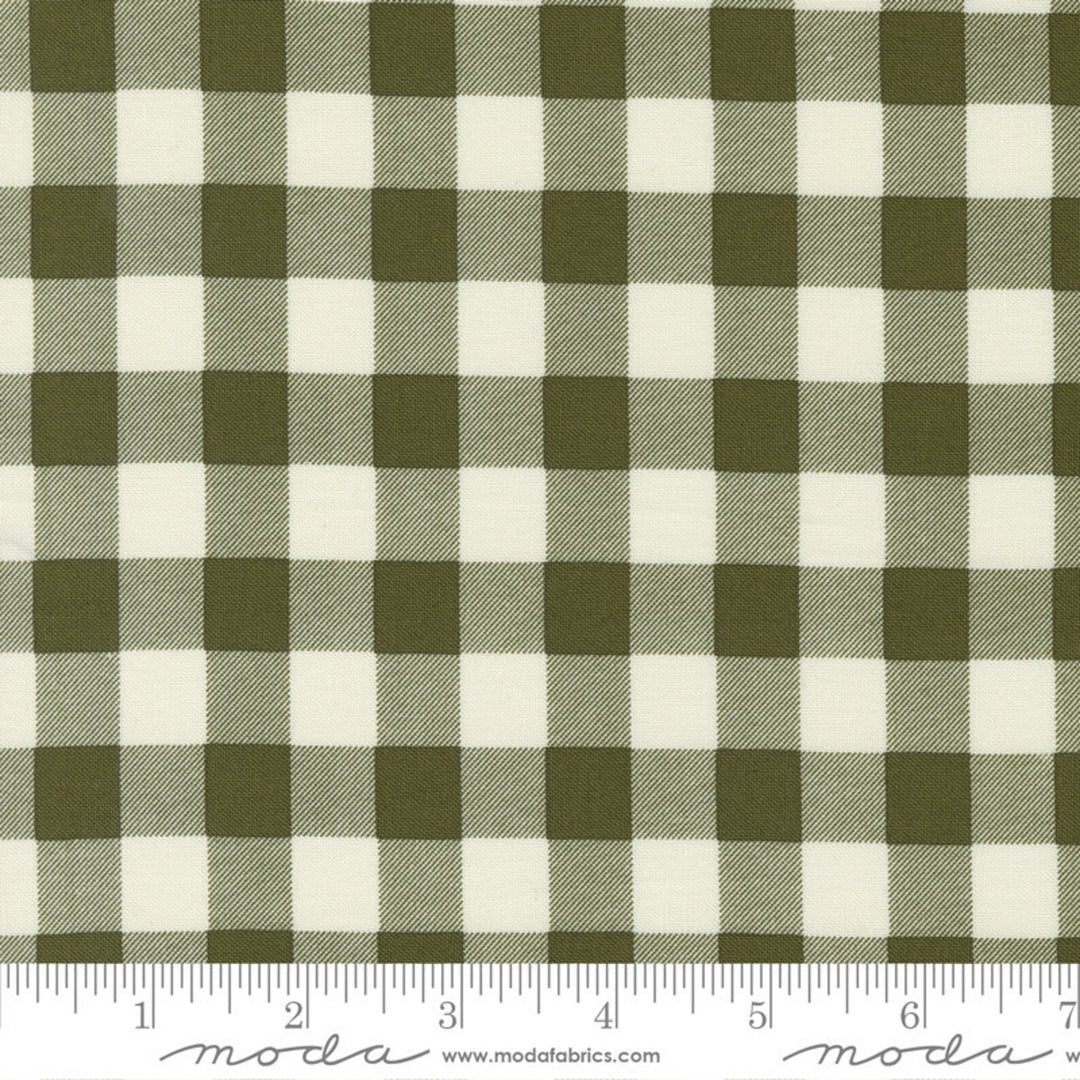 Evermore - Picnic Gingham, Fern - 43155 14