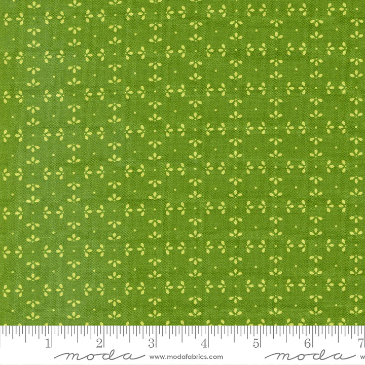 Favorite Things - Evergreen - 37655-26