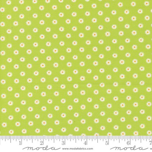 Vintage Soul - Chartreuse - 7439 17
