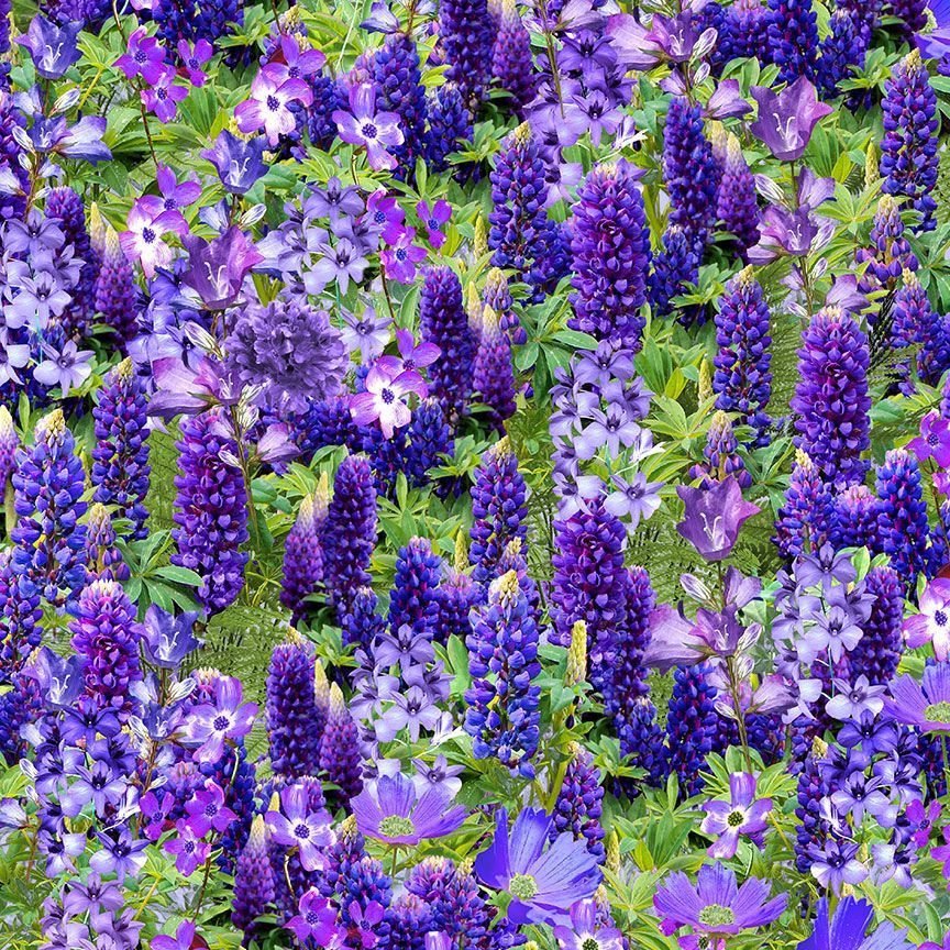 Wildflower - Wild Floral Field Purple - FLEUR-CD2434