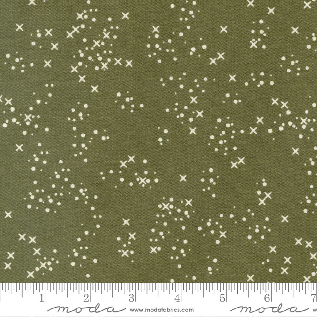 Dawn on the Prairie - Stitch Confetti, Moss Shadow - 45577 21