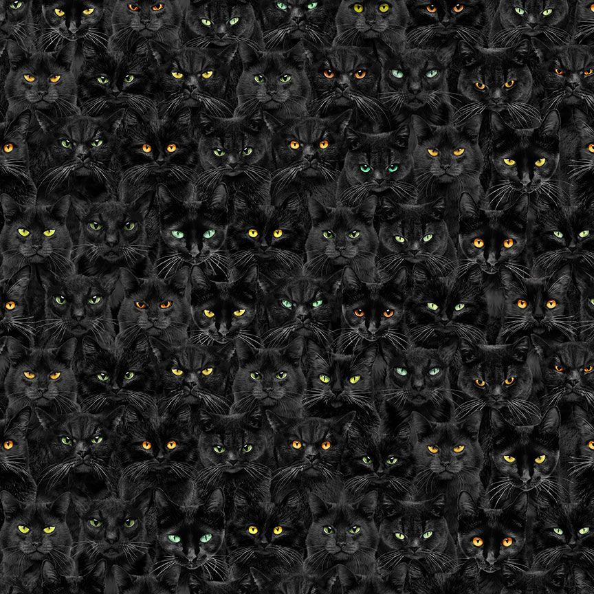 Wicked - Black Cats Magic, Black - CAT-CD1831