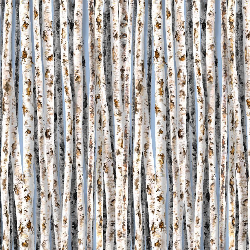 Birch Trees on Blue Sky - Dona - CD1914 - Sky