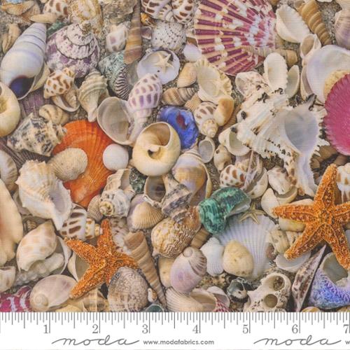 Saltwater - Seas The Day, Multi - 39570 11