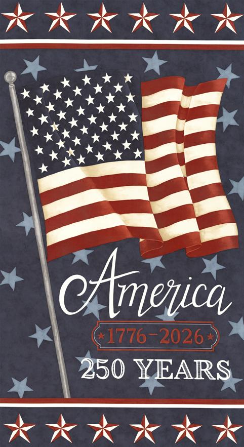 Panel 497 - America 250th Anniversary Blue Panel