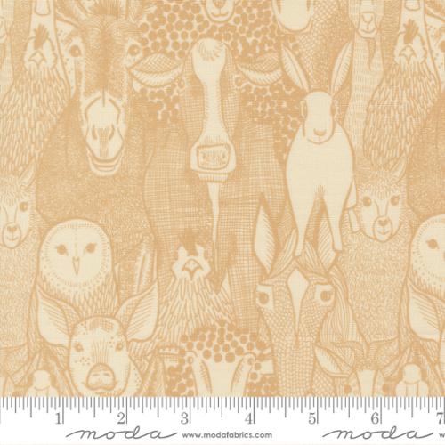 The Hen House - Barnyard Faces, Hay - 48431 13